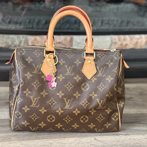 Louis Vuitton Speedy 25 Brown Monogram Satchel with Pink Scarf and Charm - Picture 6 of 16